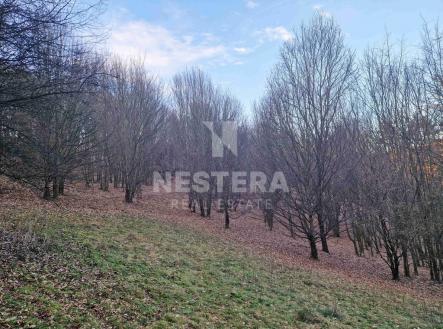 Prodej pozemku, trvalý travní porost, 10 301 m²