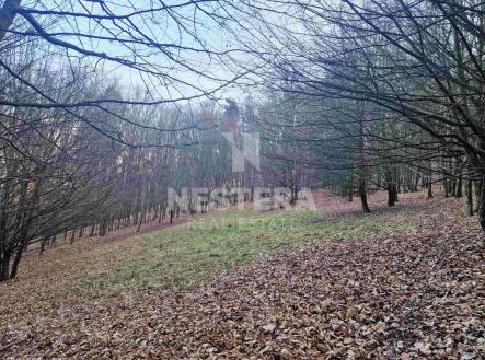 Prodej pozemku, trvalý travní porost, 10 301 m²