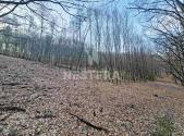 Prodej pozemku, trvalý travní porost, 10 301 m²
