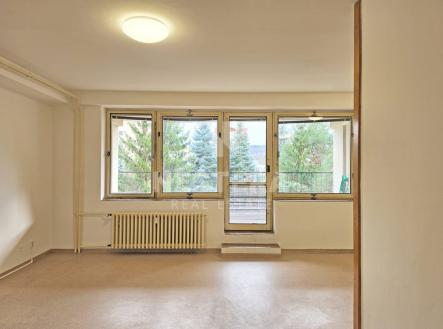 Pronájem bytu, 1+kk, 52 m²