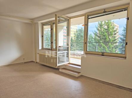 Pronájem bytu, 1+kk, 52 m²