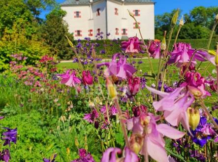 Pronájem bytu, 1+kk, 40 m²