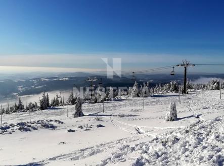 Prodej pozemku pro bydlení, 1 290 m²