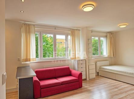 Pronájem bytu, 1+kk, 41 m²