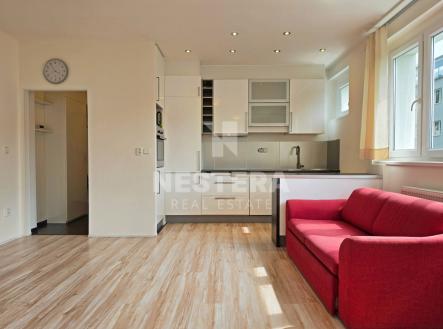 Pronájem bytu, 1+kk, 41 m²
