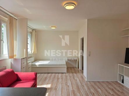 Pronájem bytu, 1+kk, 41 m²