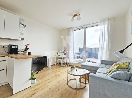 Pronájem bytu, 2+kk, 56 m²