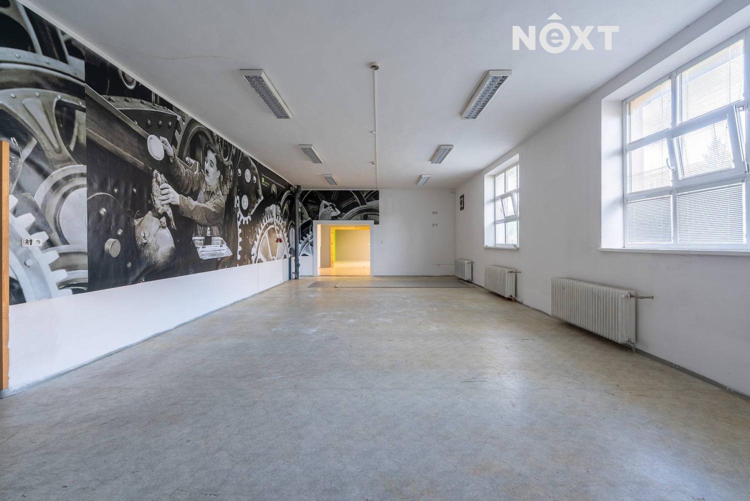 Prodej komerční Obchodní prostory, 370㎡