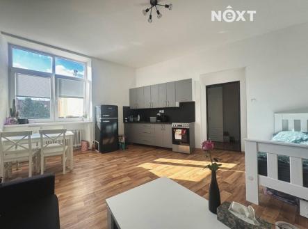 Pronájem bytu, 1+kk, 47 m²