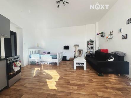 Pronájem bytu, 1+kk, 47 m²