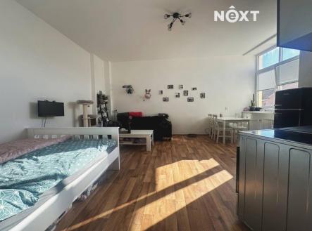 Pronájem bytu, 1+kk, 47 m²