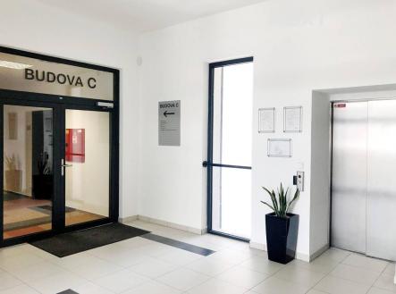 Pronájem kanceláře, 28 m²