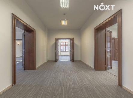 Pronájem kanceláře, 230 m²