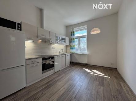 Pronájem bytu, 1+1, 55 m²