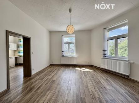 Pronájem bytu, 1+1, 55 m²