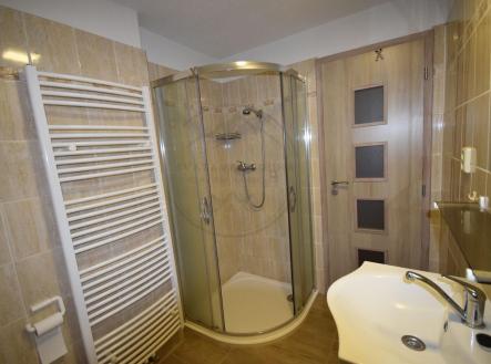 Pronájem bytu, 1+kk, 29 m²