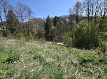 Prodej pozemku pro bydlení, 3 985 m²