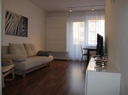 Pronájem bytu, 1+kk, 42 m²