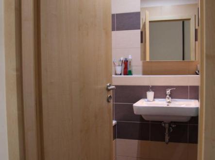 Pronájem bytu, 1+kk, 42 m²