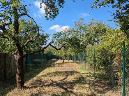 Prodej pozemku, zahrada, 319 m²