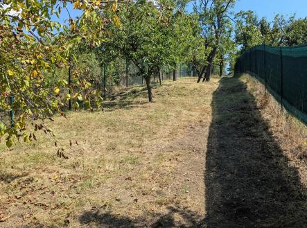 Prodej pozemku, zahrada, 319 m²