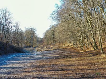 Prodej pozemku, zahrada, 1 446 m²