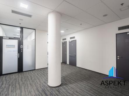 Pronájem kanceláře, 30 m²
