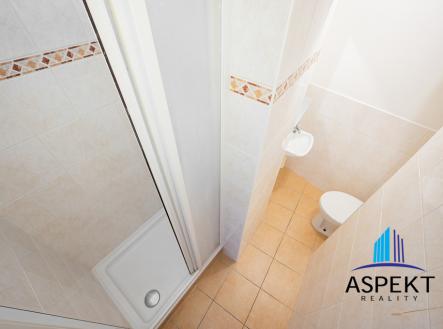 Pronájem bytu, 1+kk, 32 m²