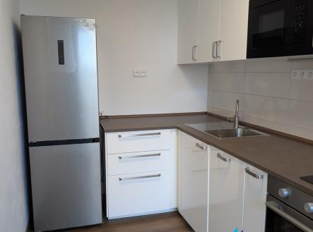 Pronájem bytu, 1+1, 45 m² obrázek