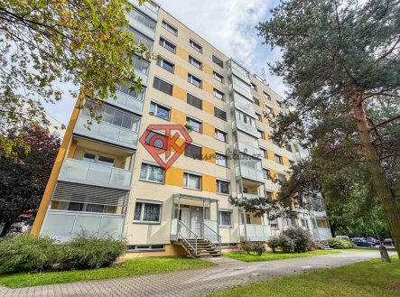Pronájem bytu, 1+1, 42 m² obrázek