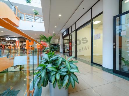 Pronájem komerčního objektu, výroba, 37 m²