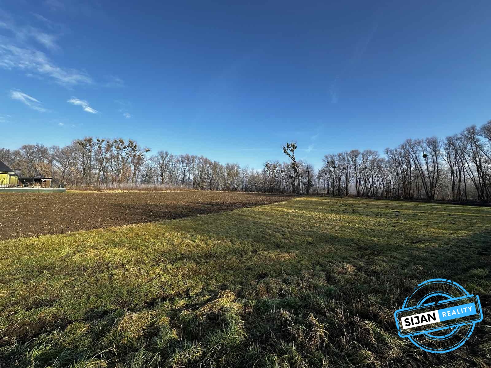 viber_image_2025-01-29_20-51-52-362