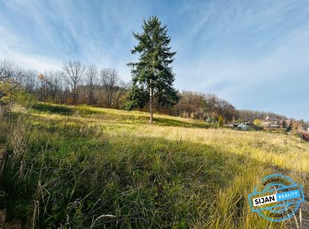 Prodej pozemku pro bydlení, 1 306 m²