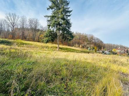 Prodej pozemku pro bydlení, 1 306 m²