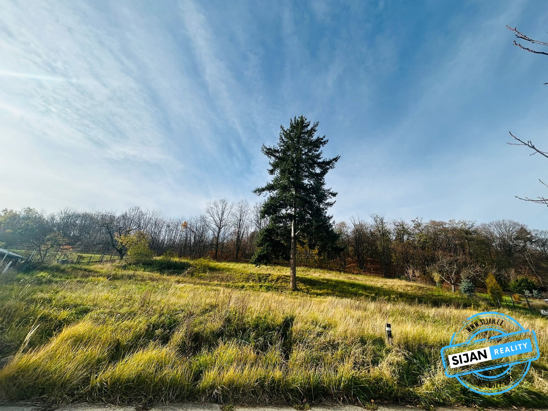 IMG-20251113-WA0011(1)