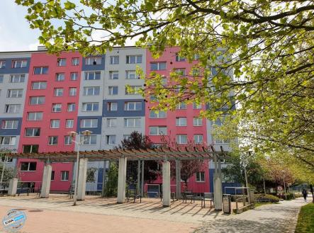 Pronájem bytu, 1+1, 32 m²