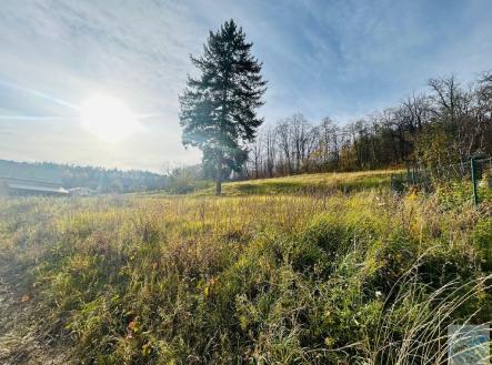 Prodej pozemku pro bydlení, 1 311 m²