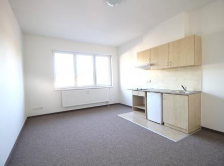 Pronájem bytu, 1+kk, 28 m²