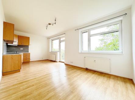 Pronájem bytu, 2+kk, 51 m²