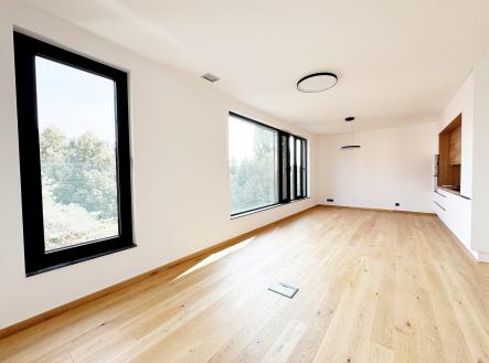 Pronájem bytu, 1+kk, 45 m²