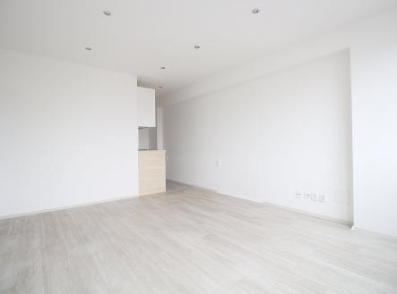 Pronájem bytu, 3+kk, 43 m²