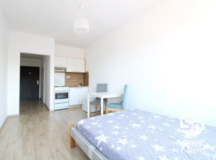 Pronájem bytu, 1+kk, 23 m²