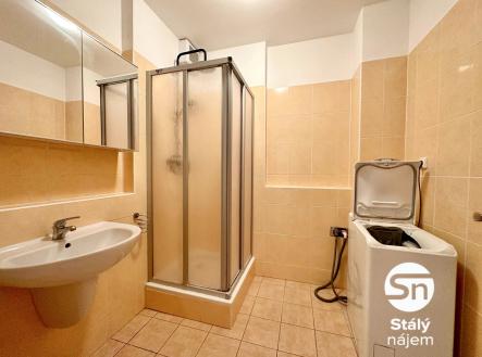 Pronájem bytu, 1+kk, 29 m²