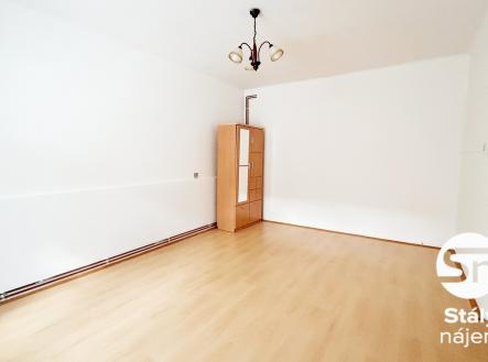 Pronájem bytu, 1+1, 47 m²