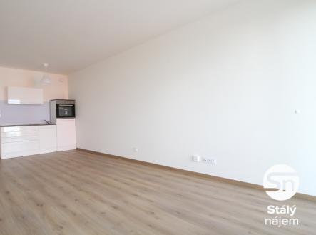 Pronájem bytu, 1+kk, 43 m²