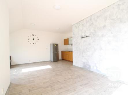 Pronájem bytu, 1+kk, 48 m²