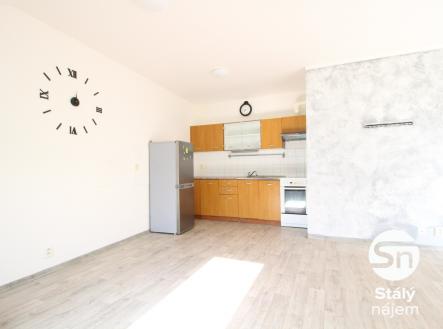 Pronájem bytu, 1+kk, 48 m²