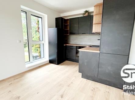 Pronájem bytu, 3+kk, 59 m²