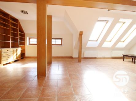 Pronájem bytu, 6+kk, 170 m²