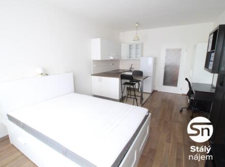 Pronájem bytu, 1+kk, 43 m² obrázek